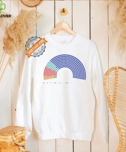 The parliament is gonna look insane America 2024 shirt