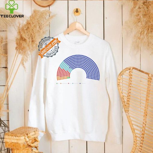 The parliament is gonna look insane America 2024 shirt