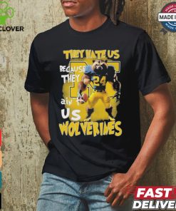 They Hate Us Because They AInt Us Michigan Wolverines Unisex T Shirt