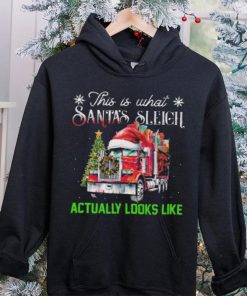 This Is What Santa’s Sleigh Actually Looks Like Truck Christmas Tree Sweathoodie, sweater, longsleeve, shirt v-neck, t-shirt