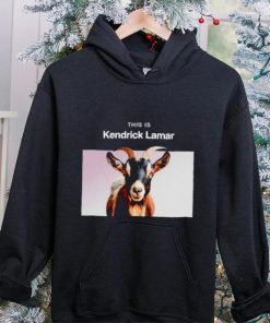 This is Kendrick Lamar shirt