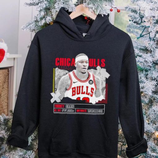 Torrey Craig number 13 Chicago Bulls basketball player pose paper gift hoodie, sweater, longsleeve, shirt v-neck, t-shirt