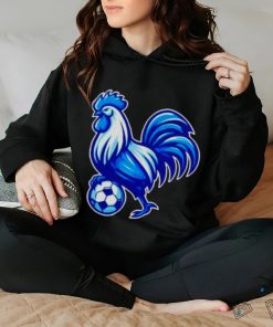 Tottenham Hotspur soccer hoodie, sweater, longsleeve, shirt v-neck, t-shirt