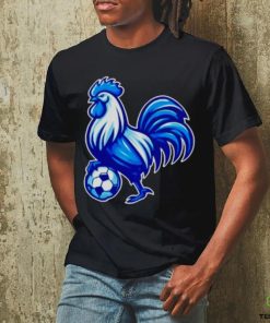 Tottenham Hotspur soccer shirt