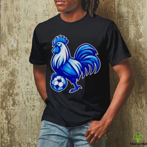 Tottenham Hotspur soccer shirt