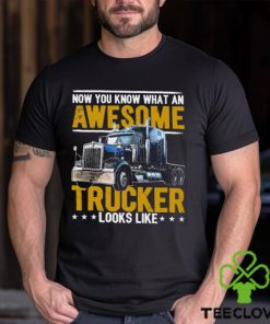 Trucker Gift, Truck Driving Gift, Trucker Life Gift. Classic T Shirt