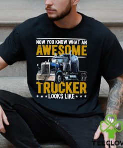 Trucker Gift, Truck Driving Gift, Trucker Life Gift. Classic T Shirt 2 Trucker Gift, Truck Driving Gift, Trucker Life Gift. Classic T Shirt