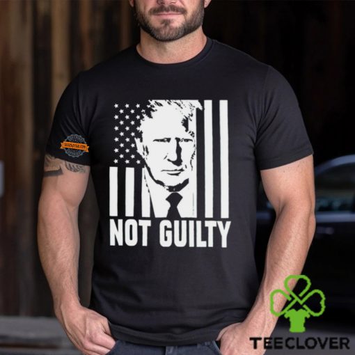 Trump not guilty flag hoodie, sweater, longsleeve, shirt v-neck, t-shirt