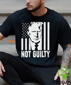 Trump not guilty flag hoodie, sweater, longsleeve, shirt v-neck, t-shirt