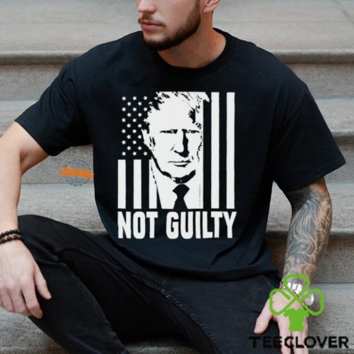 Trump not guilty flag hoodie, sweater, longsleeve, shirt v-neck, t-shirt