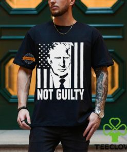 Trump not guilty flag hoodie, sweater, longsleeve, shirt v-neck, t-shirt