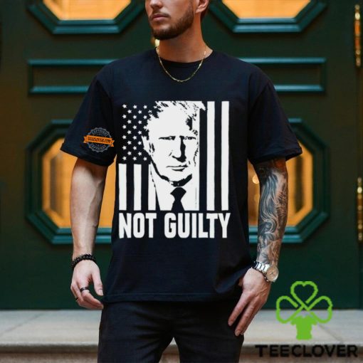 Trump not guilty flag hoodie, sweater, longsleeve, shirt v-neck, t-shirt