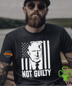 Trump not guilty flag hoodie, sweater, longsleeve, shirt v-neck, t-shirt