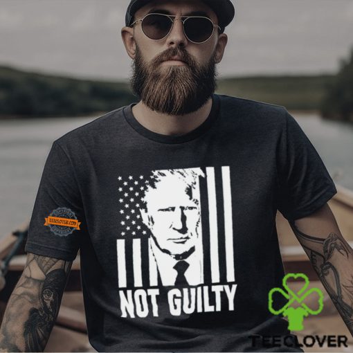 Trump not guilty flag hoodie, sweater, longsleeve, shirt v-neck, t-shirt