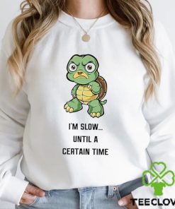 Turtle I’m slow until a certain time cartoon funny hoodie, sweater, longsleeve, shirt v-neck, t-shirt