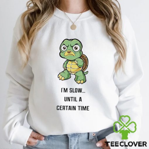 Turtle I’m slow until a certain time cartoon funny hoodie, sweater, longsleeve, shirt v-neck, t-shirt