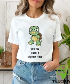 Turtle I’m slow until a certain time cartoon funny hoodie, sweater, longsleeve, shirt v-neck, t-shirt