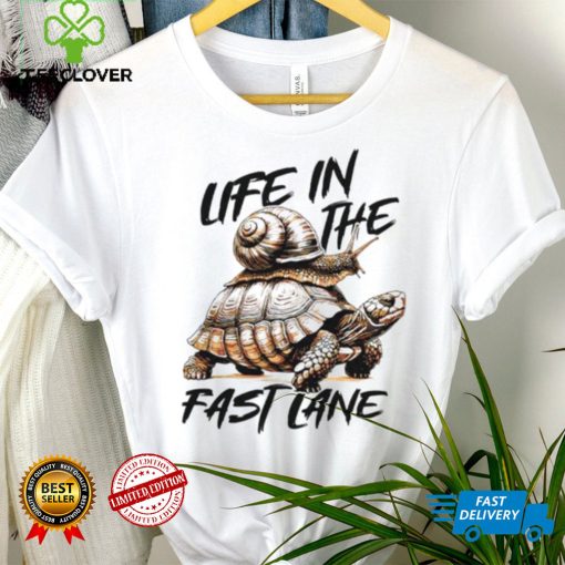 Turtle and snail life in the fast lane hoodie, sweater, longsleeve, shirt v-neck, t-shirt