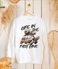 Turtle and snail life in the fast lane hoodie, sweater, longsleeve, shirt v-neck, t-shirt