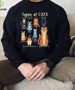 Types of cat comparison cat orange shirt 1 Types of cat comparison cat orange shirt