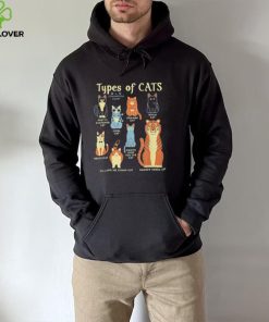 Types of cat comparison cat orange shirt 2 Types of cat comparison cat orange shirt