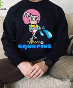 Typical Aquarius hoodie, sweater, longsleeve, shirt v-neck, t-shirt