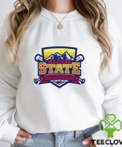 USSSA Colorado Baseball MAJ AAA State Championships 2023 logo shirt 2 USSSA Colorado Baseball MAJ AAA State Championships 2023 logo shirt