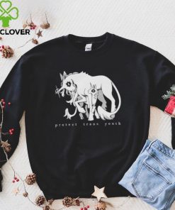 Unicorn Protect Trans Youth hoodie, sweater, longsleeve, shirt v-neck, t-shirt