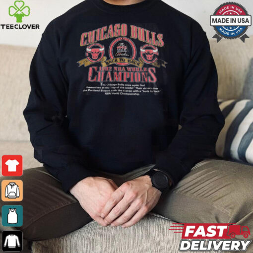Vintage Chicago Bulls T shirt NBA 1992 World Champ Tee