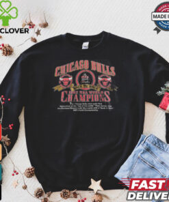 Vintage Chicago Bulls T shirt NBA 1992 World Champ Tee