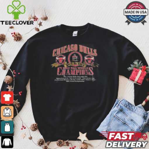Vintage Chicago Bulls T shirt NBA 1992 World Champ Tee