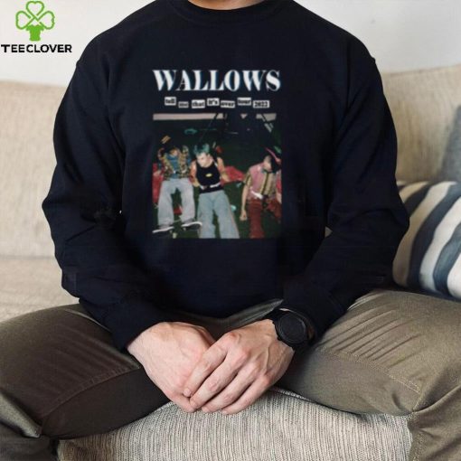 Wallows t hoodie, sweater, longsleeve, shirt v-neck, t-shirt