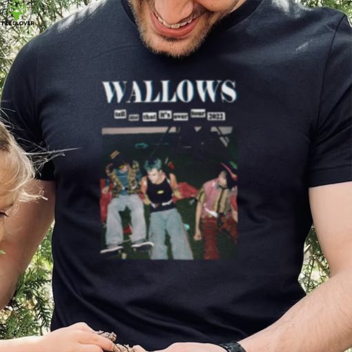 Wallows t hoodie, sweater, longsleeve, shirt v-neck, t-shirt