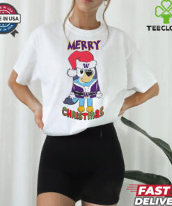 Washington Huskies Bluey Merry Christmas 2024 Shirt
