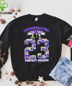 Washington Huskies undefeated 2023 2024 perfect season signatures hoodie, sweater, longsleeve, shirt v-neck, t-shirt