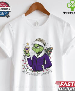 Washington Huskies x Santa Grinch Is This Jolly Enough Merry Christmas Shirt