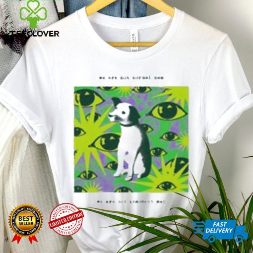 We Are Not Normal Men We Are Not Innocent Men Shirt