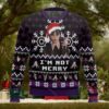 I Have A Big Package For You Christmas Ugly Christmas Sweater