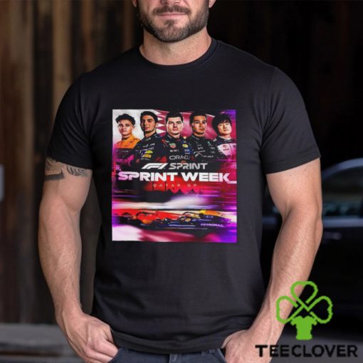 Who Is Ready For An F1 Sprint In The Desert Of Qatar GP 2023 Unisex T hoodie, sweater, longsleeve, shirt v-neck, t-shirt