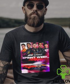 Who Is Ready For An F1 Sprint In The Desert Of Qatar GP 2023 Unisex T hoodie, sweater, longsleeve, shirt v-neck, t-shirt