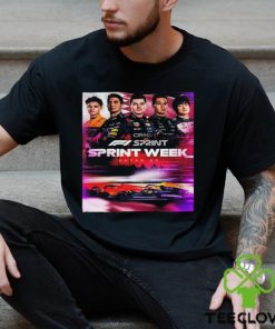 Who Is Ready For An F1 Sprint In The Desert Of Qatar GP 2023 Unisex T hoodie, sweater, longsleeve, shirt v-neck, t-shirt