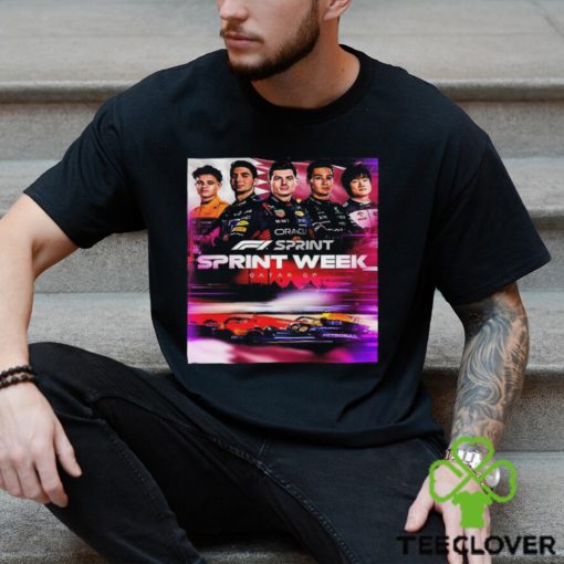 Who Is Ready For An F1 Sprint In The Desert Of Qatar GP 2023 Unisex T hoodie, sweater, longsleeve, shirt v-neck, t-shirt