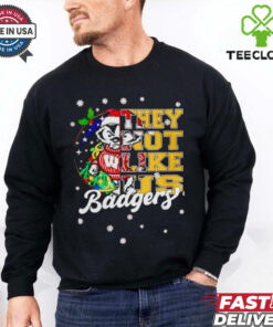 Wisconsin Badgers they not like us Christmas shirt