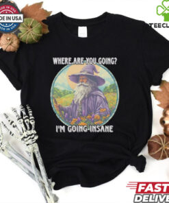 Wizard where are you going I’m going insane shirt