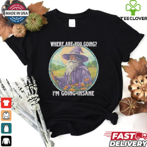 Wizard where are you going I’m going insane shirt