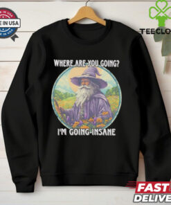 Wizard where are you going I’m going insane shirt