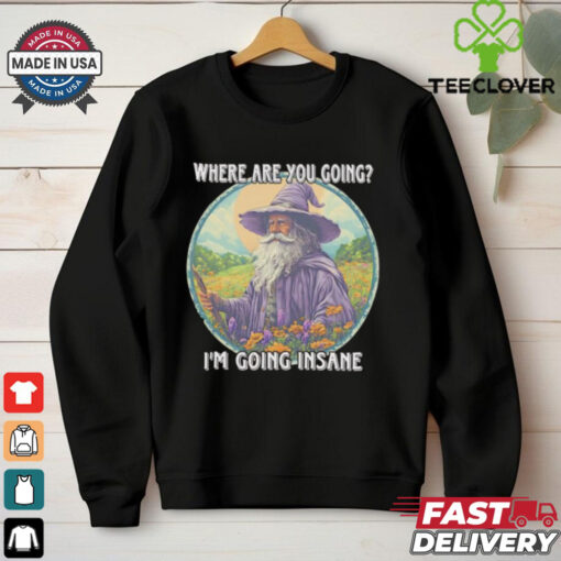 Wizard where are you going I’m going insane shirt
