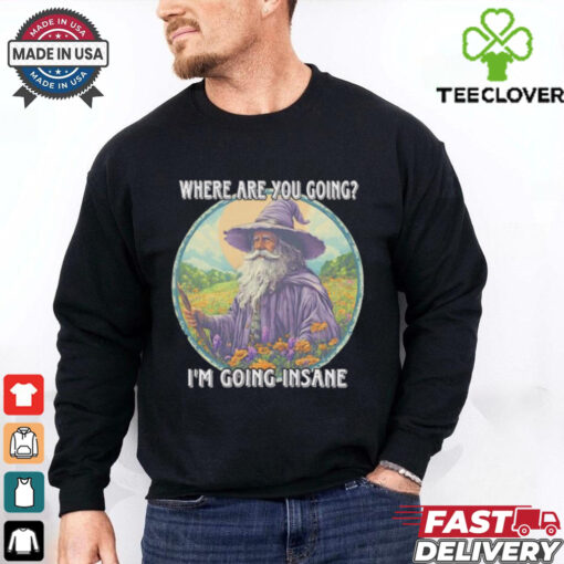 Wizard where are you going I’m going insane shirt