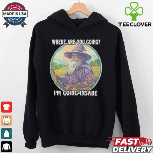Wizard where are you going I’m going insane shirt