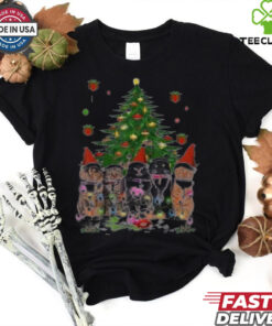 Women’s Cute Cat Merry Christmas Shirt